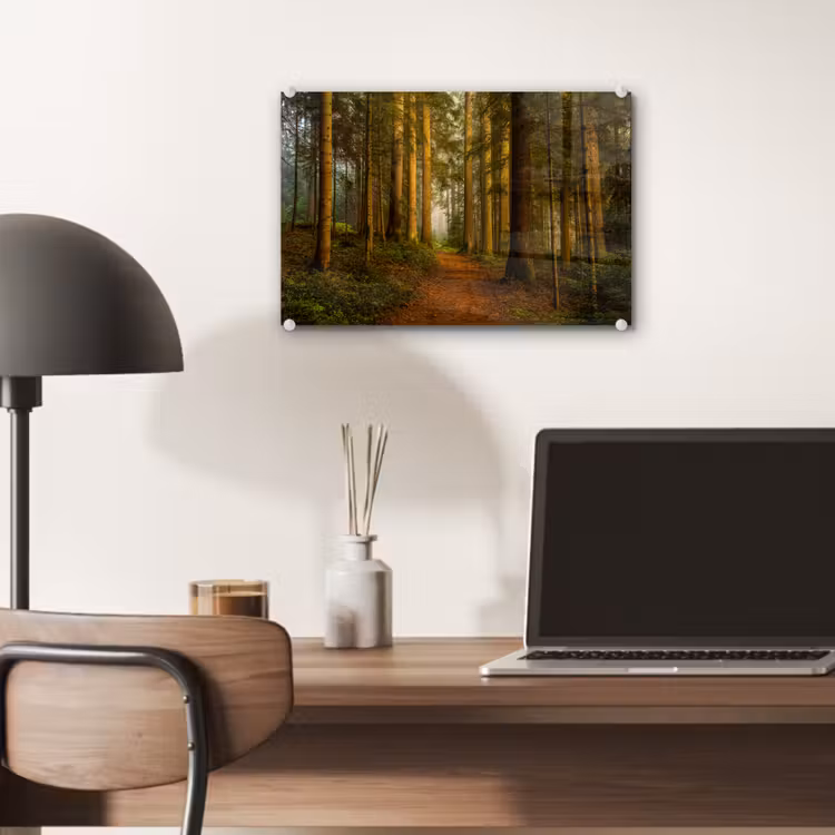 Bos - Natuur - Bomen - Landschap - Bladeren plexiglas 5mm klein -sfeer6