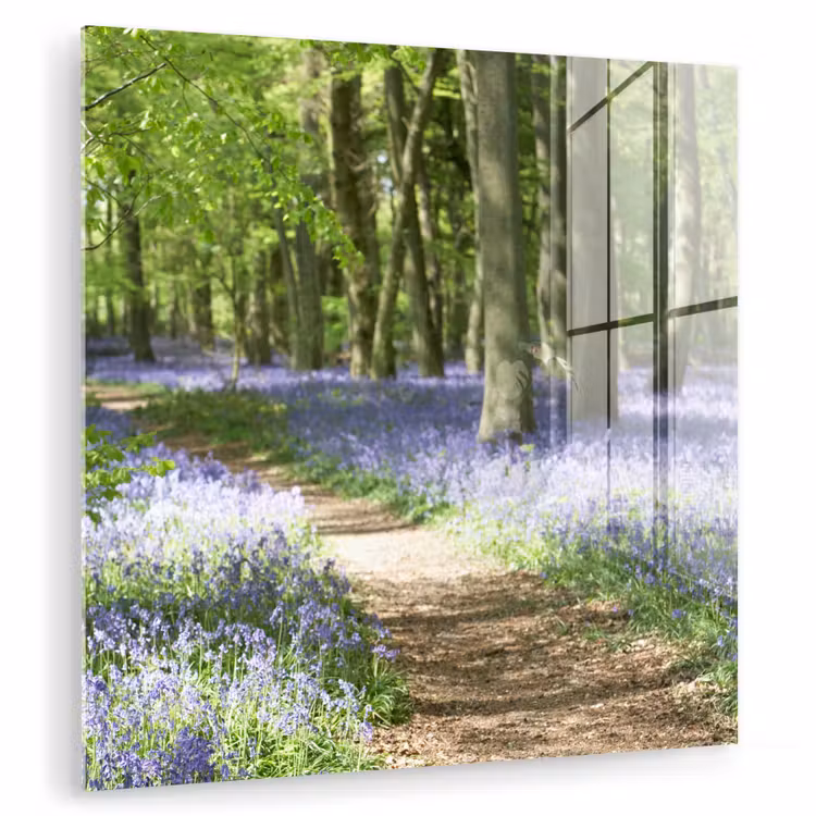 Bos - Pad - Bloemen - Paars - Groen - Natuur plexiglas 5mm klein -zzzproduct_nieuw