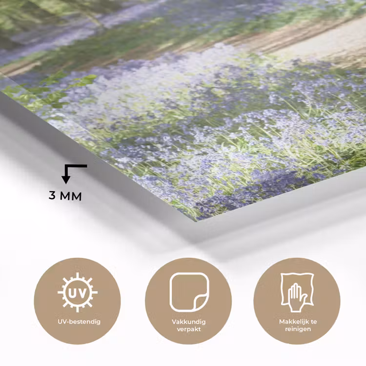 Bos - Pad - Bloemen - Paars - Groen - Natuur plexiglas 5mm klein -sfeer2