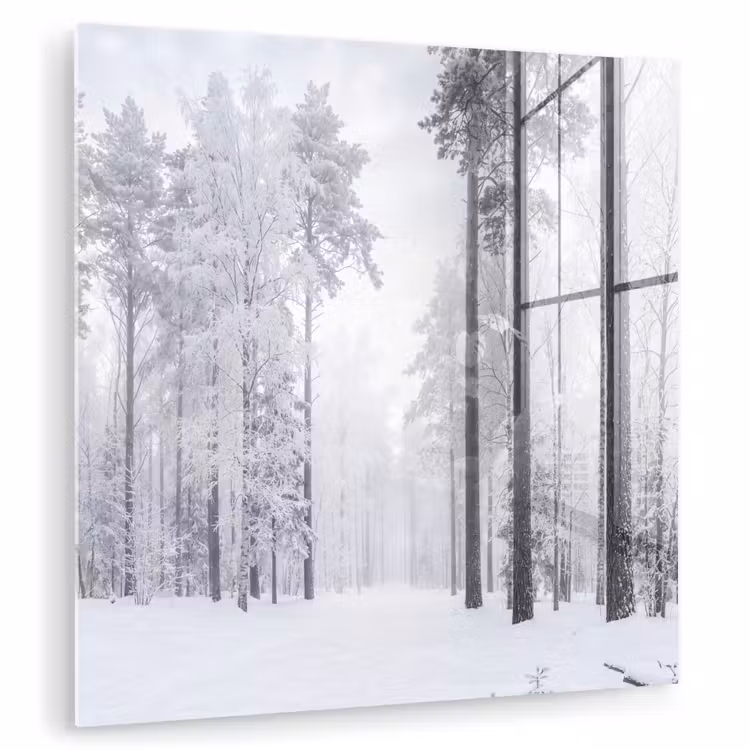 Bos - Sneeuw - Pad - Winter - Stilte plexiglas 5mm klein -zzzproduct_nieuw