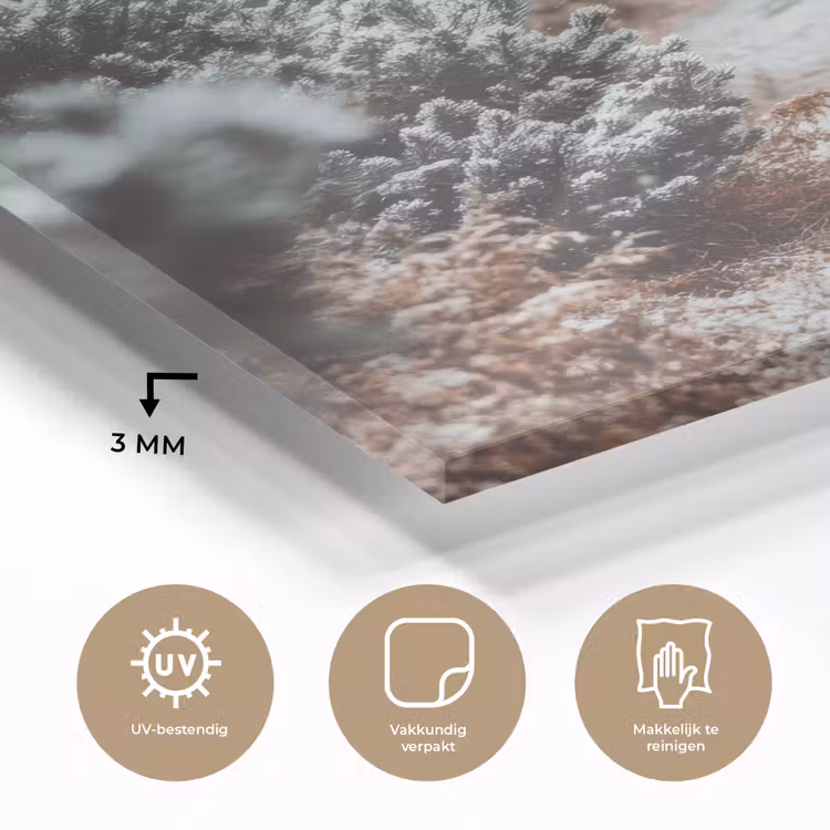 Bos - Winter - Bomen - Natuur - Pad - Sneeuw plexiglas 5mm klein -sfeer2