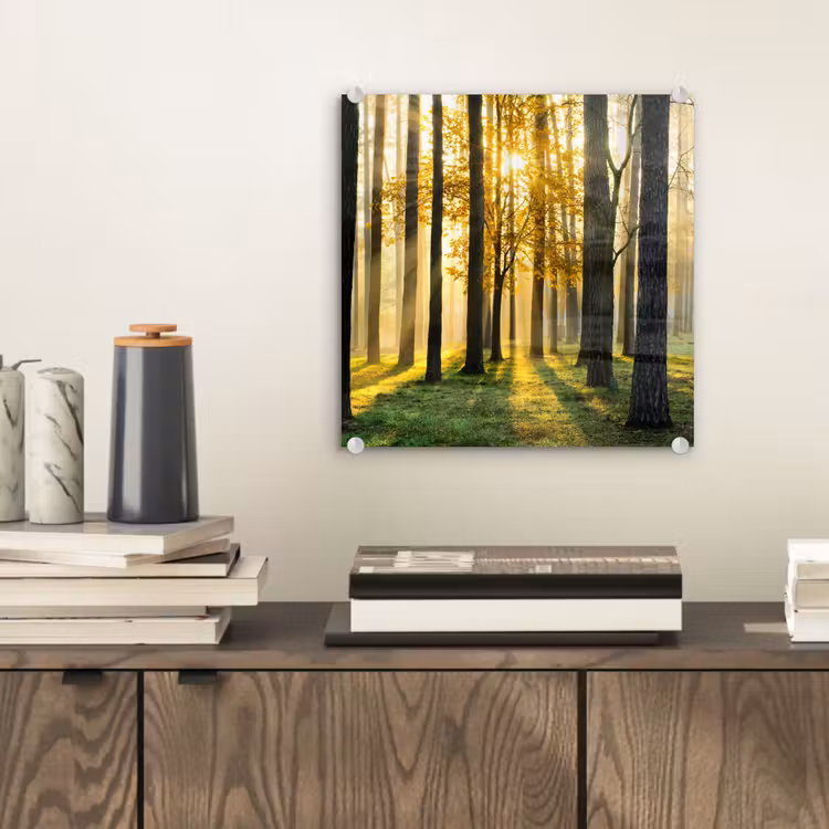 Bos - Zon - Bomen - Gras - Landschap  - Natuur plexiglas 5mm klein -sfeer1