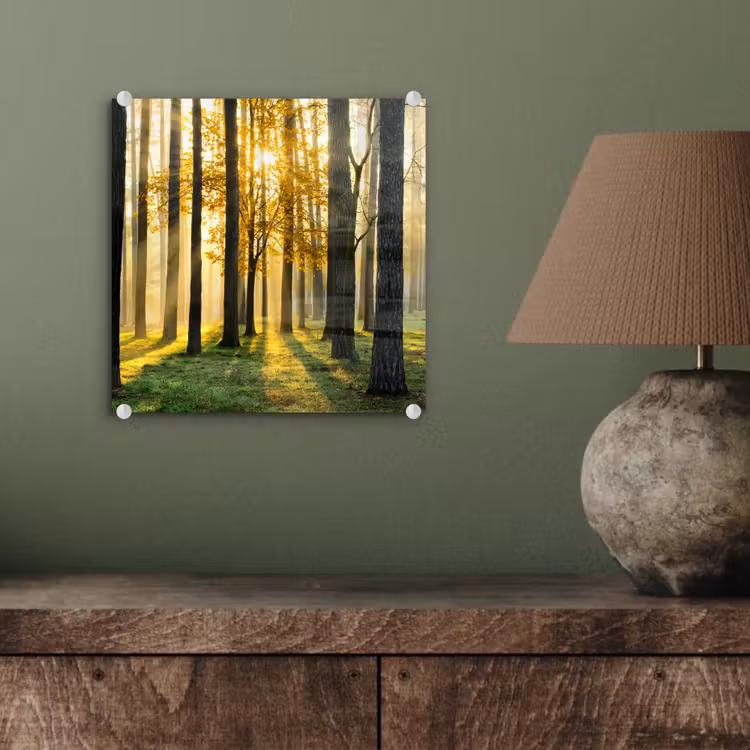 Bos - Zon - Bomen - Gras - Landschap  - Natuur plexiglas 5mm klein -sfeer3