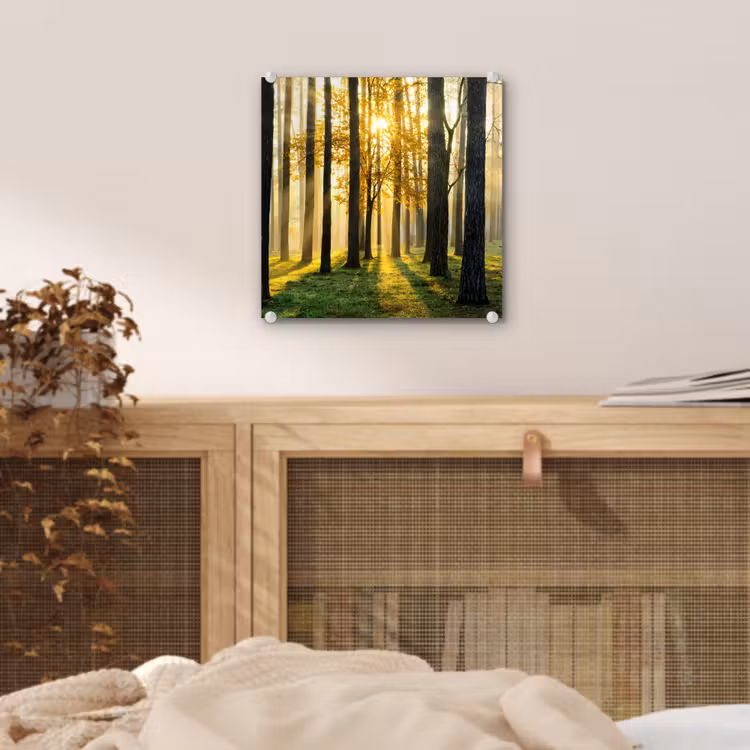 Bos - Zon - Bomen - Gras - Landschap  - Natuur plexiglas 5mm klein -sfeer4