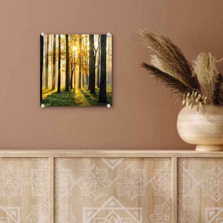 Bos - Zon - Bomen - Gras - Landschap  - Natuur plexiglas 5mm klein -sfeer5