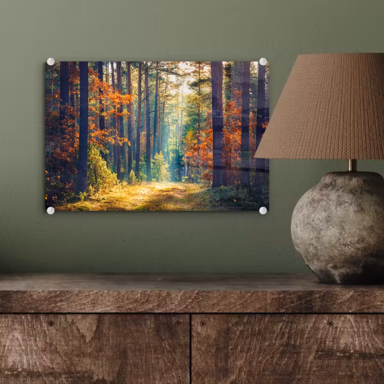 Bos - Zon - Natuur - Herfst plexiglas 5mm klein -sfeer3