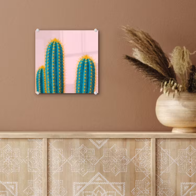 Cactussen - Modern - Pastel plexiglas 5mm klein -sfeer5