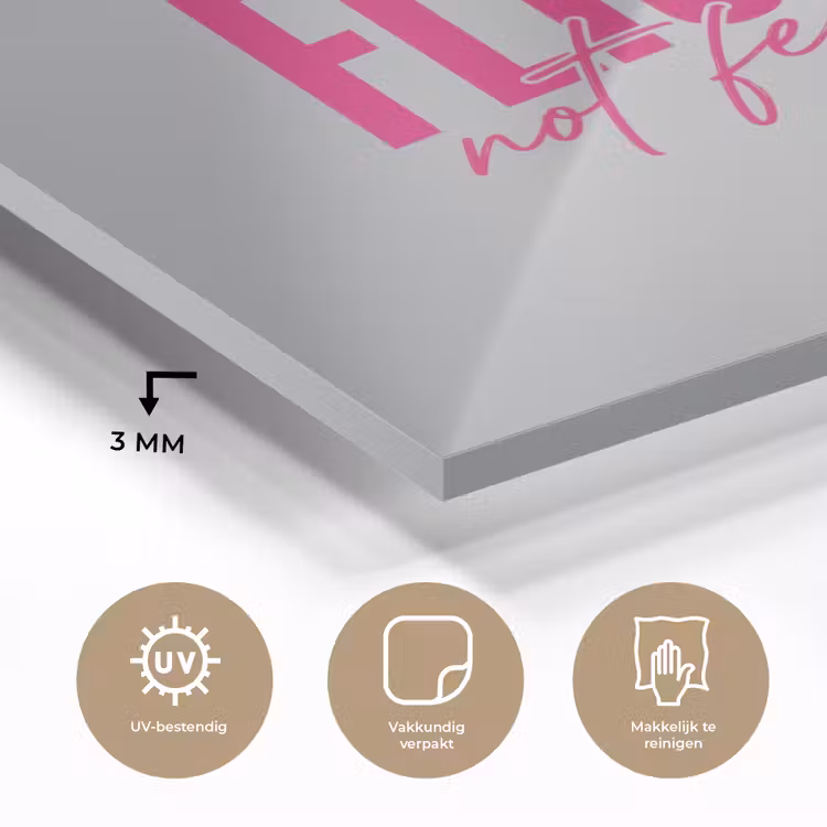 Catch flights not feelings - Vliegtuig - Roze plexiglas 5mm klein -sfeer2