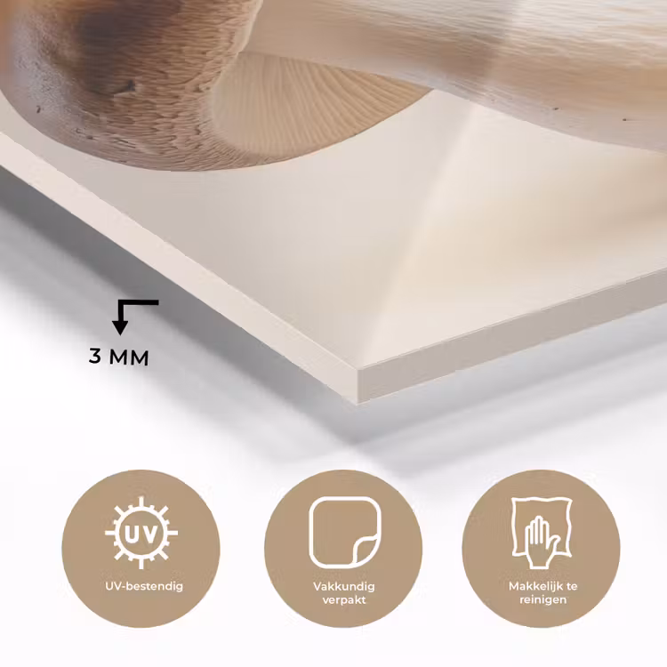Champignons - Zacht - Beige plexiglas 5mm klein -sfeer2
