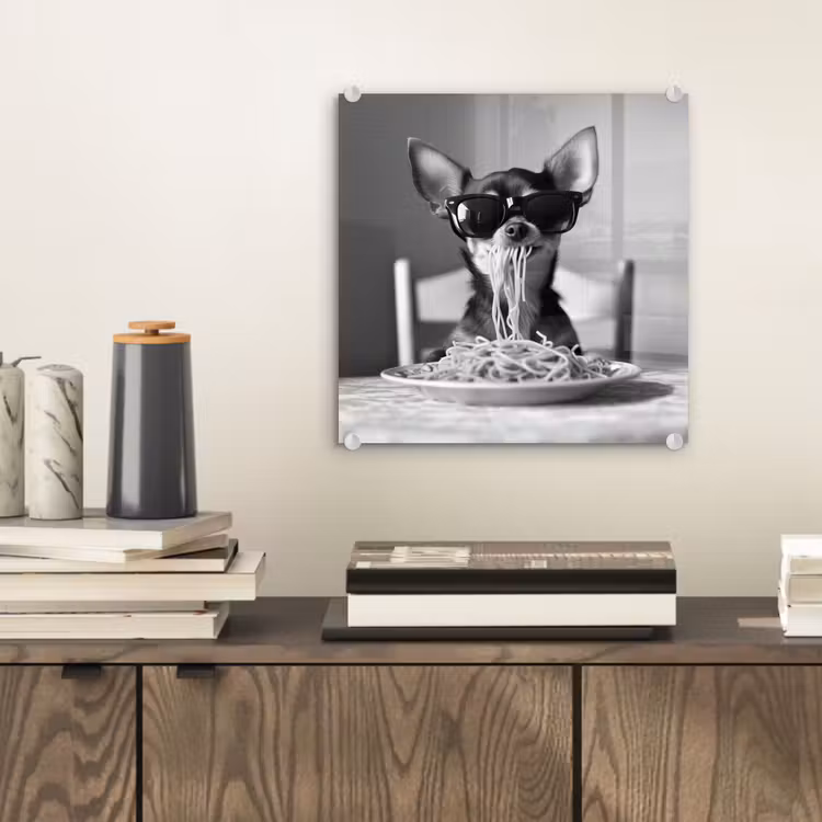 Chihuahua - Hond - Zonnebril - Humoristisch - Zwart - Wit - Spaghetti plexiglas 5mm klein -sfeer1