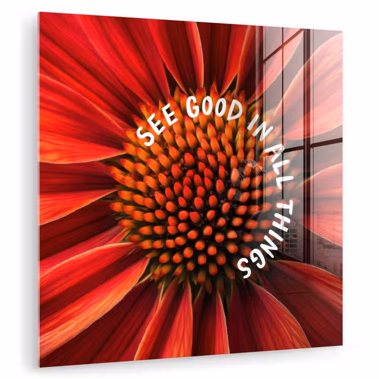 Close up - Bloem - Quote - Rood plexiglas 5mm klein -zzzproduct_nieuw