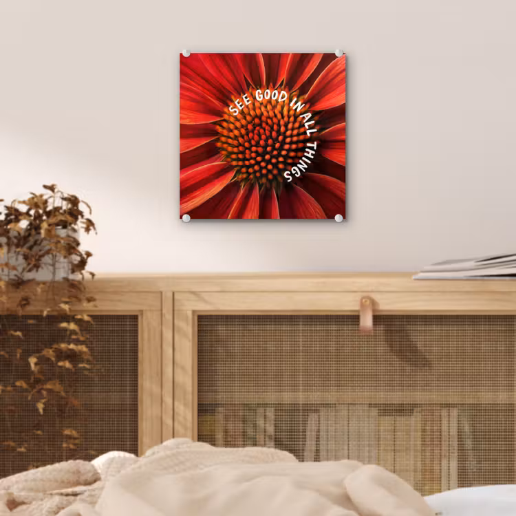 Close up - Bloem - Quote - Rood plexiglas 5mm klein -sfeer4