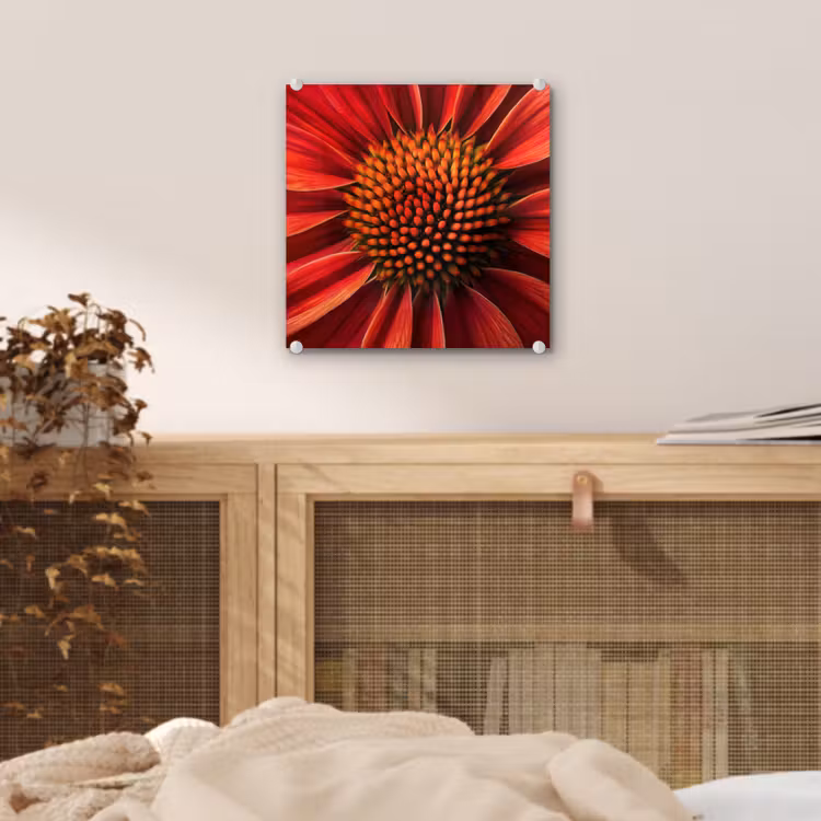 Close up - Bloem- Rood plexiglas 5mm klein -sfeer4