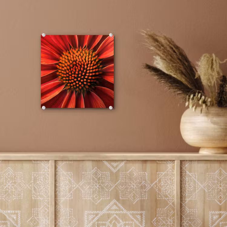 Close up - Bloem- Rood plexiglas 5mm klein -sfeer5