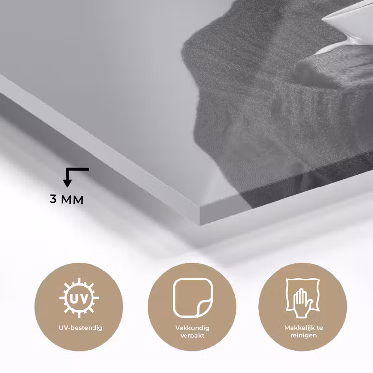 Coltrui - Hond - Bril - Mok plexiglas 5mm klein -sfeer2