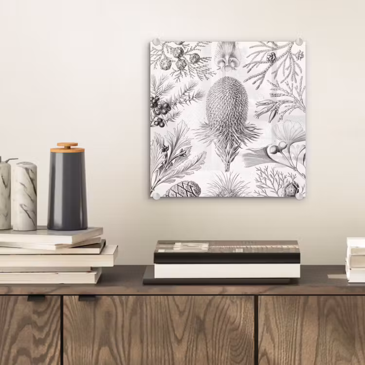Coniferen - Ernst Haeckel - Kunst - Retro - Illustratie - Natuur plexiglas 5mm klein -sfeer1