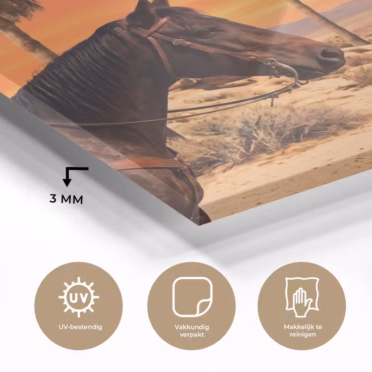 Glas schilderij - Cowboy - Paard - Woestijn - Cowboy - Paard - Woestijn plexiglas 5mm klein