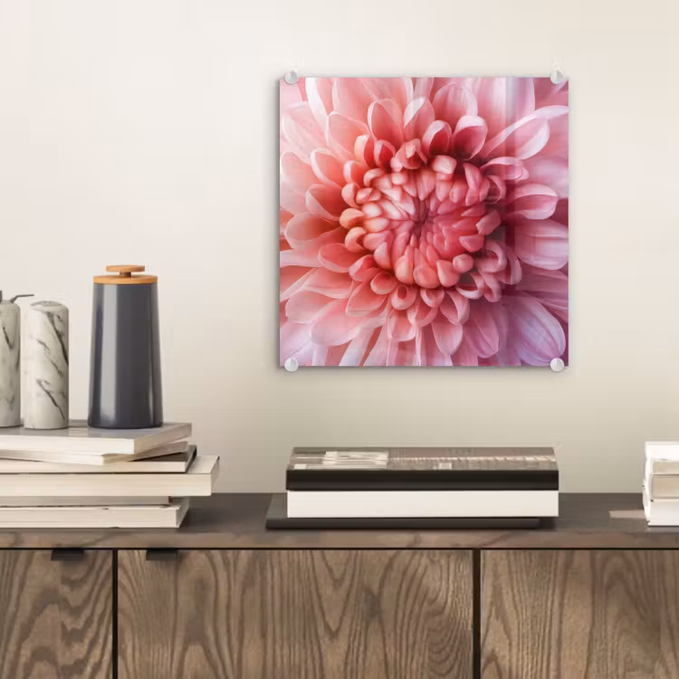 Dahlia - Bloem - Close up - Roze plexiglas 5mm klein -sfeer1