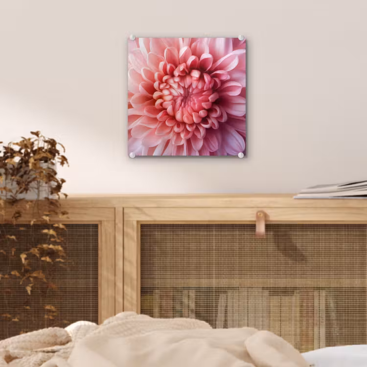 Dahlia - Bloem - Close up - Roze plexiglas 5mm klein -sfeer4