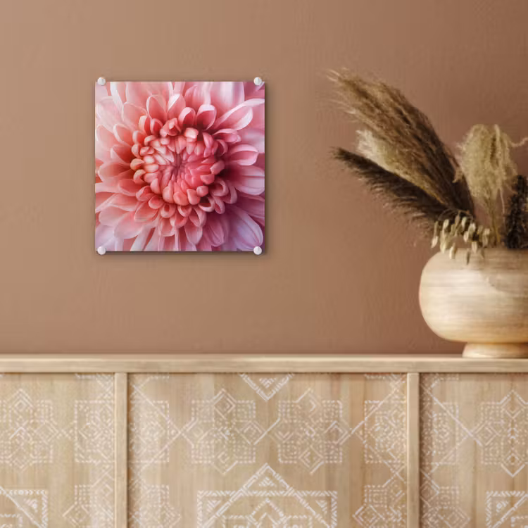 Dahlia - Bloem - Close up - Roze plexiglas 5mm klein -sfeer5