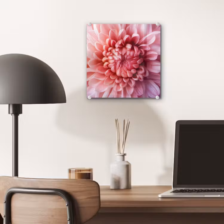 Dahlia - Bloem - Close up - Roze plexiglas 5mm klein -sfeer6