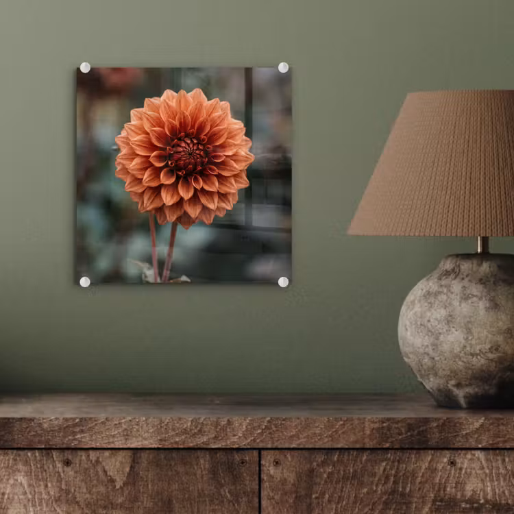 Dahlia - Bloem - Natuur - Sfeervol plexiglas 5mm klein -sfeer3