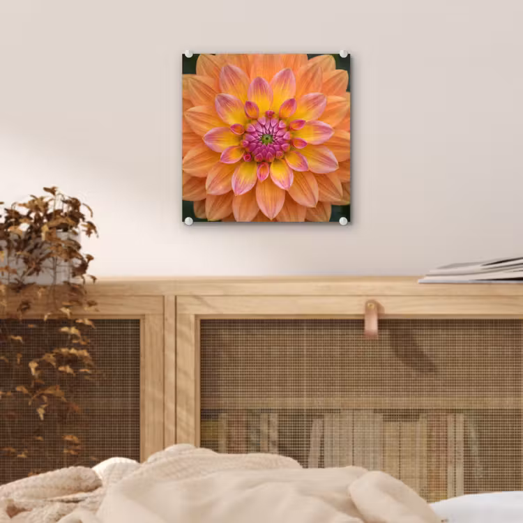 Dahlia - Bloem - Oranje plexiglas 5mm klein -sfeer4