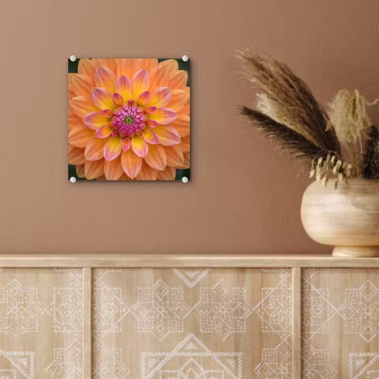 Dahlia - Bloem - Oranje plexiglas 5mm klein -sfeer5