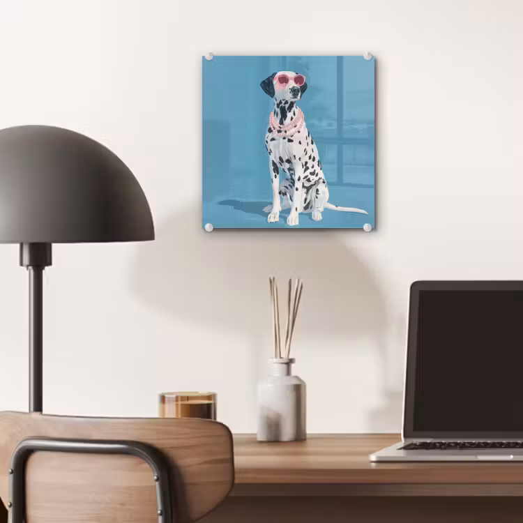 Dalmatiër - Zonnebril - Blauw plexiglas 5mm klein -sfeer6