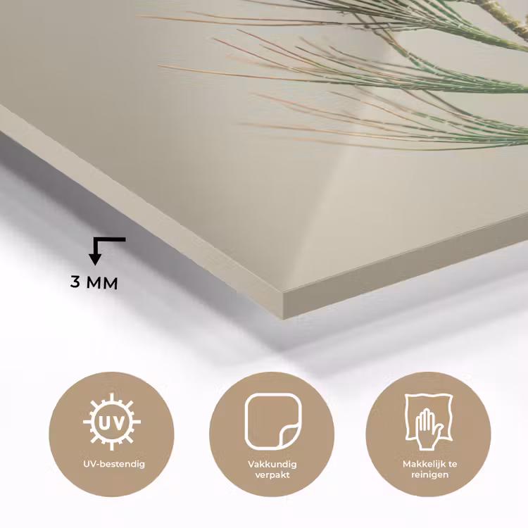 Dennentak - Naaldvormige bladeren - Lichtgroen plexiglas 5mm klein -sfeer2