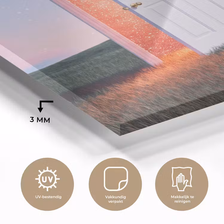Glas schilderij - Deur - Fantasie - Ruimte - Deur - Fantasie - Ruimte plexiglas 5mm klein