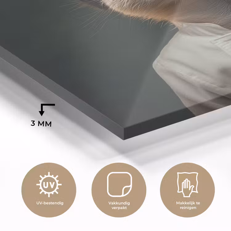 Dier - Kok - Stokstaartje plexiglas 5mm klein -sfeer2