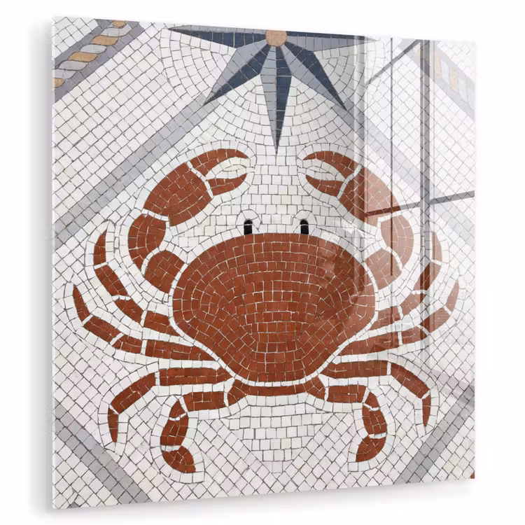 Dier - Mozaïek - Zee - Klassiek - Bruin plexiglas 5mm klein -zzzproduct_nieuw