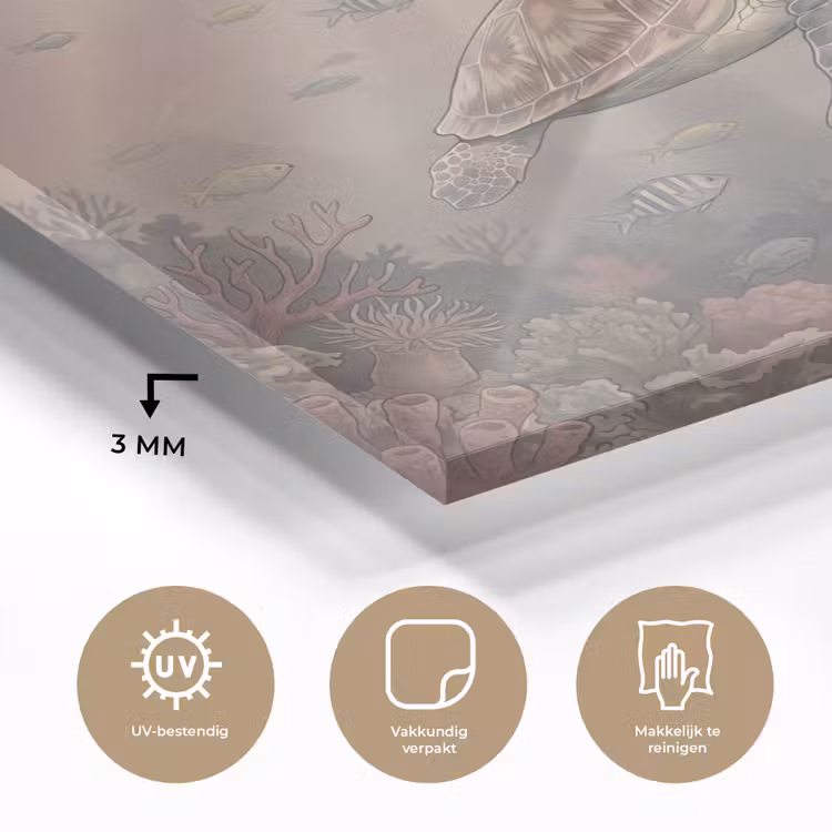 Dier - Onderwater - Oceaan - Illustratie - Zeeleven plexiglas 5mm klein -sfeer2
