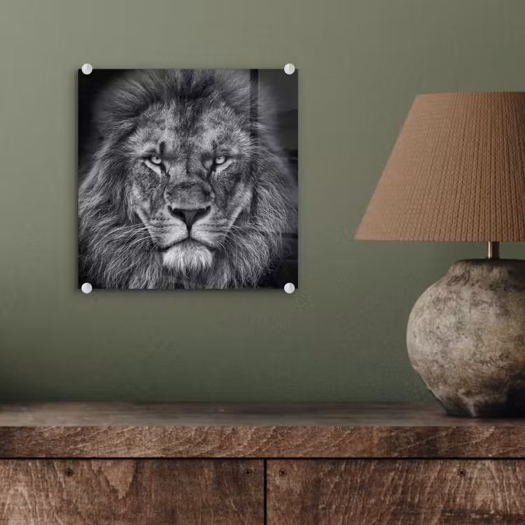 Dieren - Leeuw - Zwart - Wit - Portret plexiglas 5mm klein -sfeer3