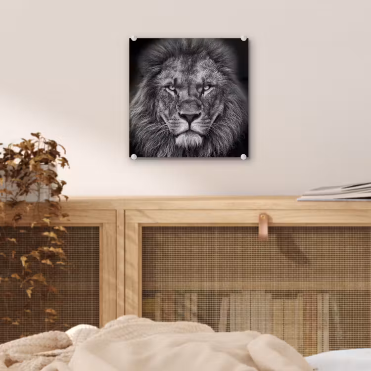 Dieren - Leeuw - Zwart - Wit - Portret plexiglas 5mm klein -sfeer4