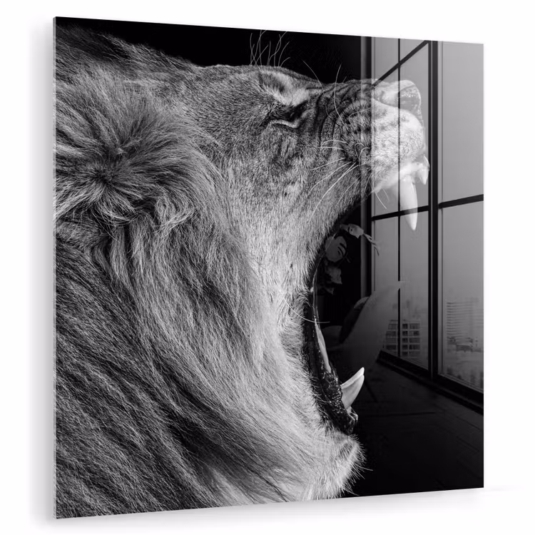 Dieren - Leeuw - Zwart - Wit - Portret plexiglas 5mm klein -zzzproduct_nieuw