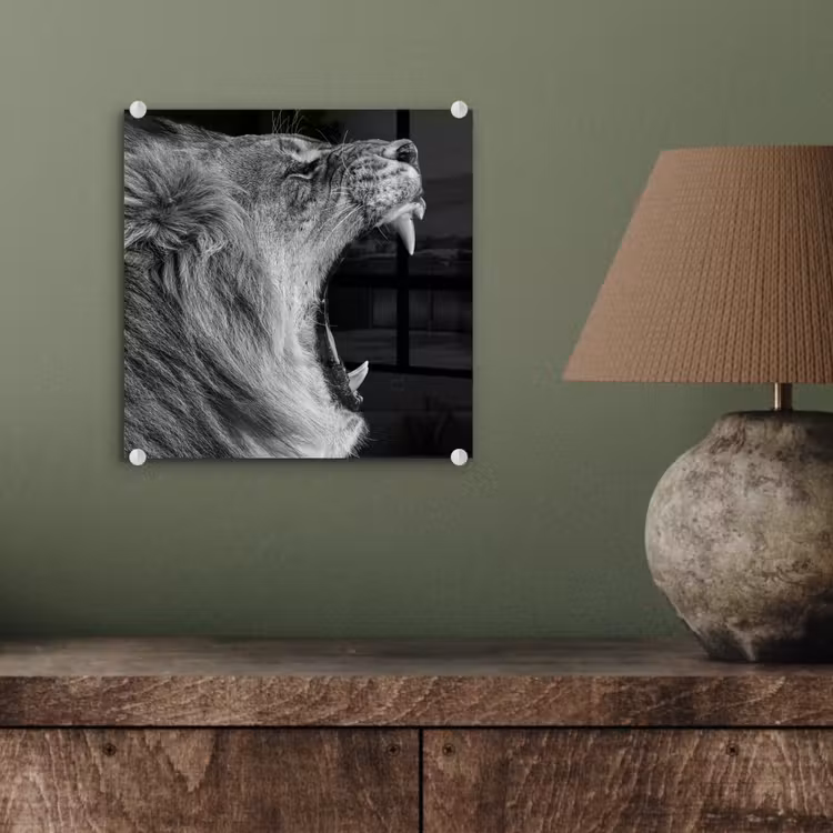Dieren - Leeuw - Zwart - Wit - Portret plexiglas 5mm klein -sfeer3