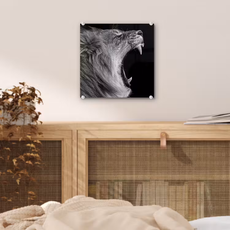 Dieren - Leeuw - Zwart - Wit - Portret plexiglas 5mm klein -sfeer4