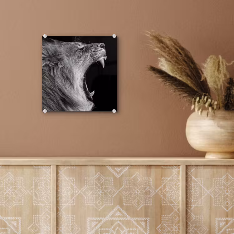 Dieren - Leeuw - Zwart - Wit - Portret plexiglas 5mm klein -sfeer5