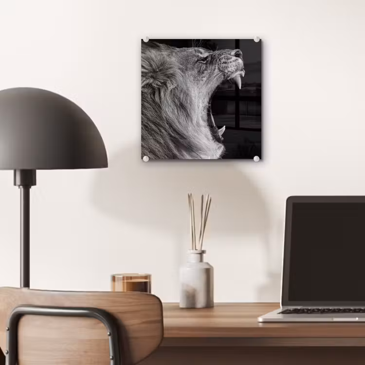 Dieren - Leeuw - Zwart - Wit - Portret plexiglas 5mm klein -sfeer6
