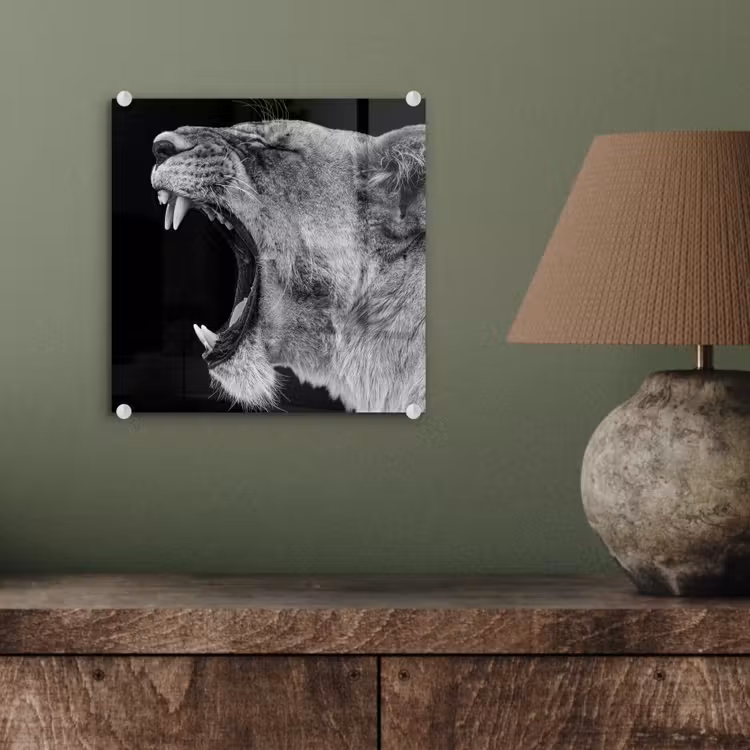 Dieren - Leeuw - Zwart - Wit - Portret plexiglas 5mm klein -sfeer3