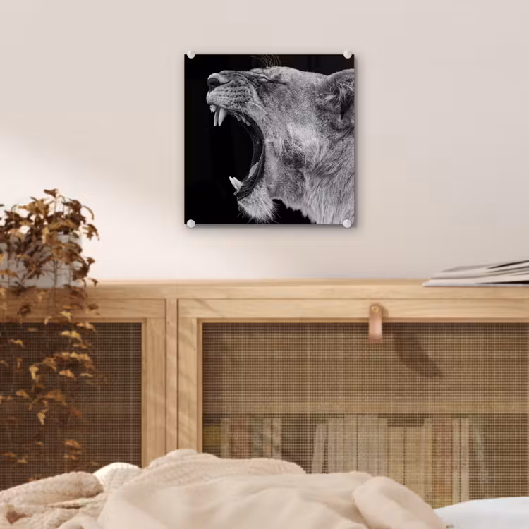Dieren - Leeuw - Zwart - Wit - Portret plexiglas 5mm klein -sfeer4