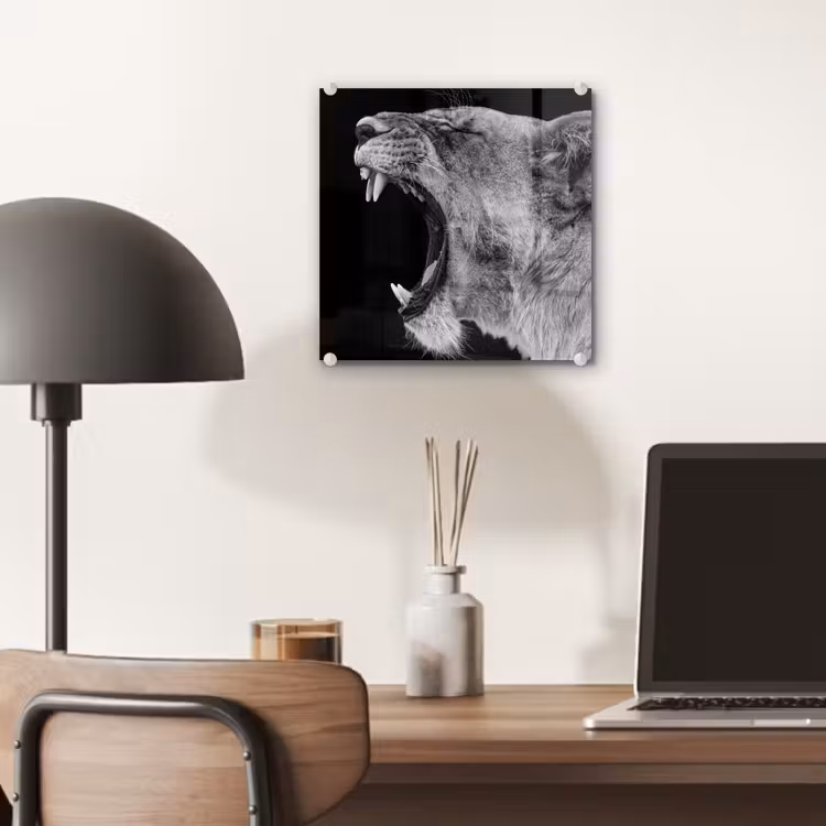 Dieren - Leeuw - Zwart - Wit - Portret plexiglas 5mm klein -sfeer6