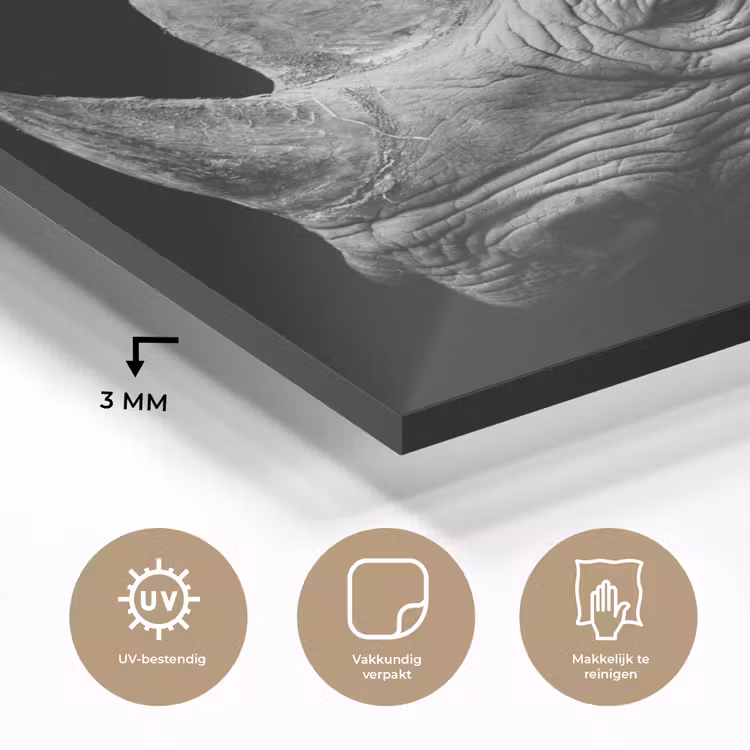Dieren - Neushoorn - Zwart - Wit - Portret plexiglas 5mm klein -sfeer2