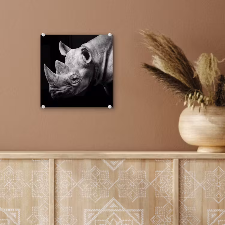 Dieren - Neushoorn - Zwart - Wit - Portret plexiglas 5mm klein -sfeer5