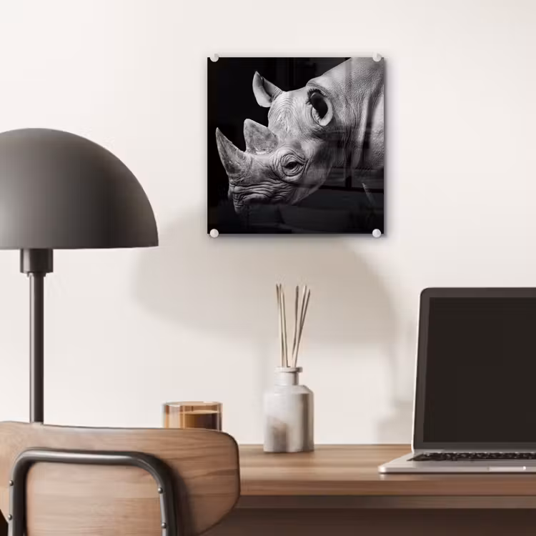 Dieren - Neushoorn - Zwart - Wit - Portret plexiglas 5mm klein -sfeer6