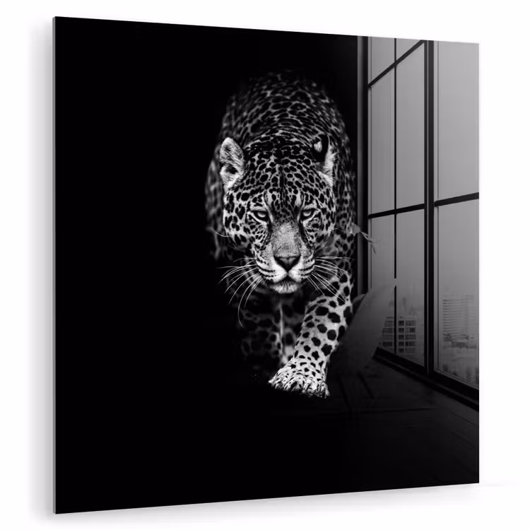 Dieren - Zwart - Luipaard - Wit - Wild plexiglas 5mm klein -zzzproduct_nieuw