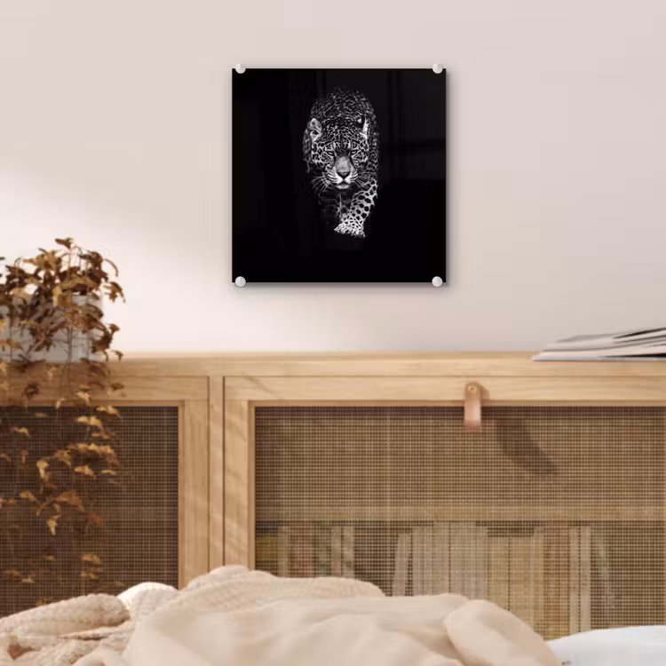 Dieren - Zwart - Luipaard - Wit - Wild plexiglas 5mm klein -sfeer4