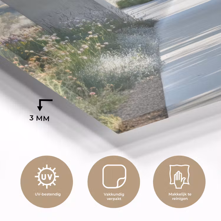 Doorkijk - Pad - Beton - Landschap plexiglas 5mm klein -sfeer2